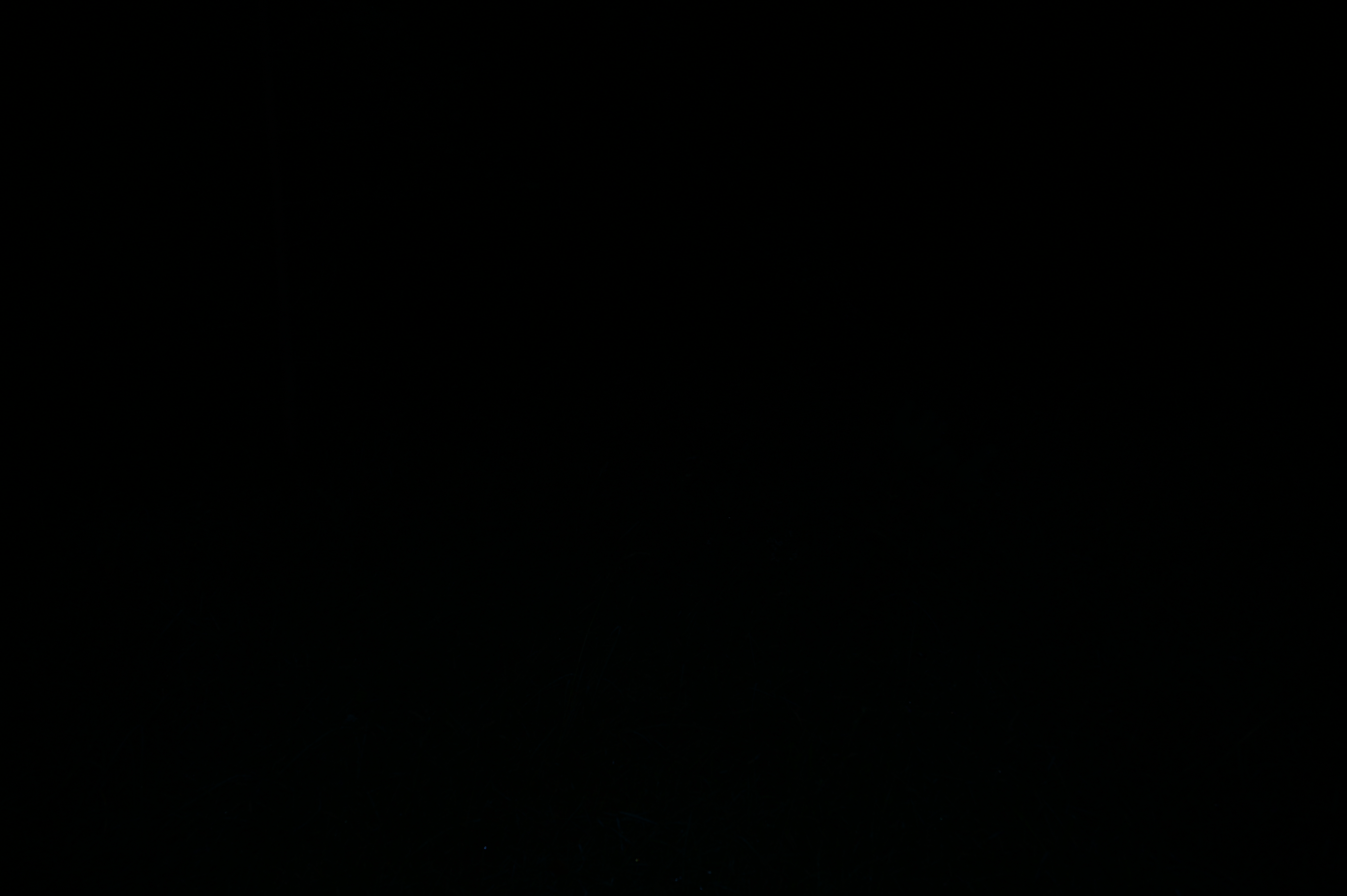 2025/07/09-14 - trip/DSC_0294.JPG